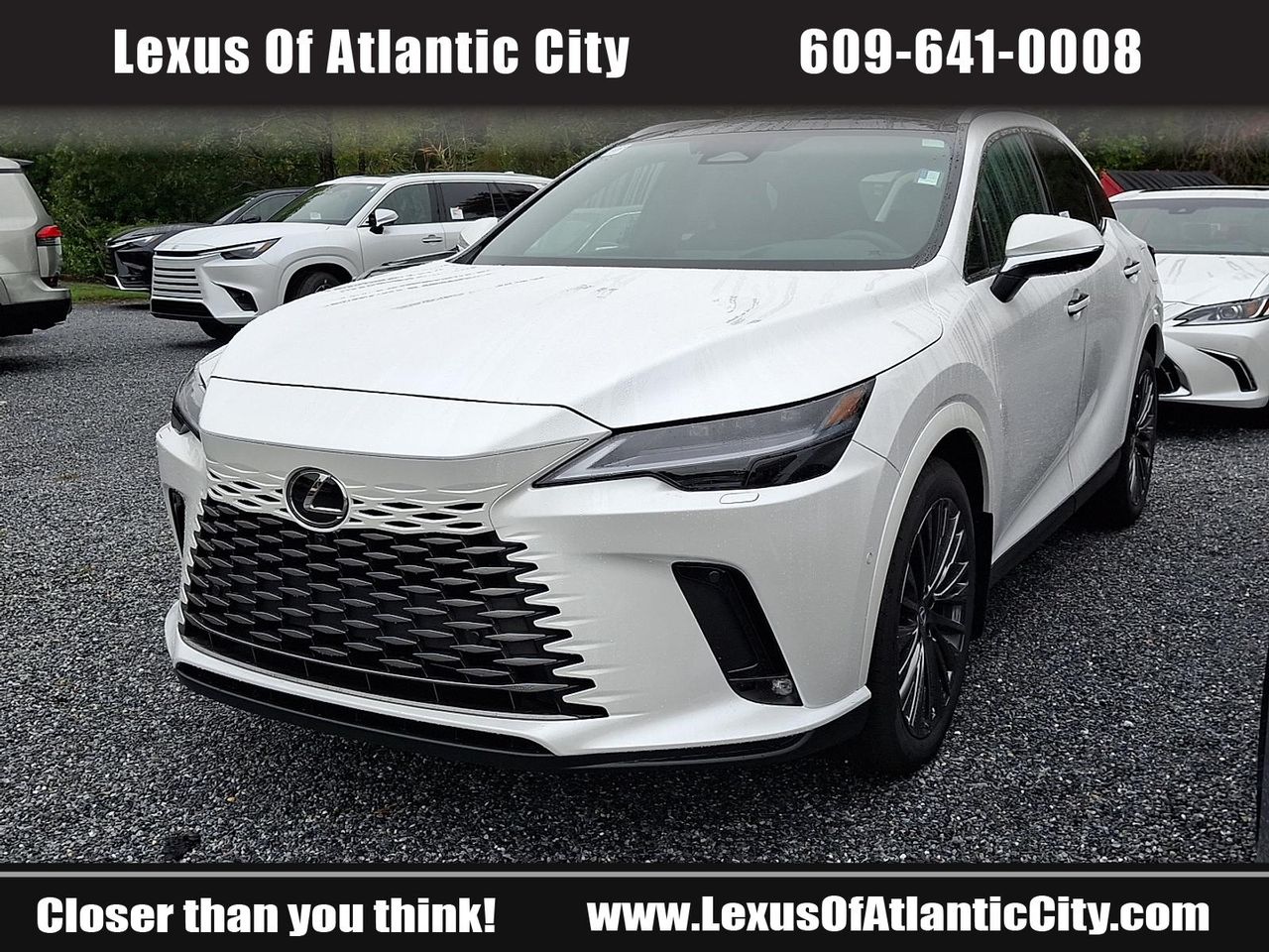 2025 Lexus RX 350h Luxury AWD photo 3