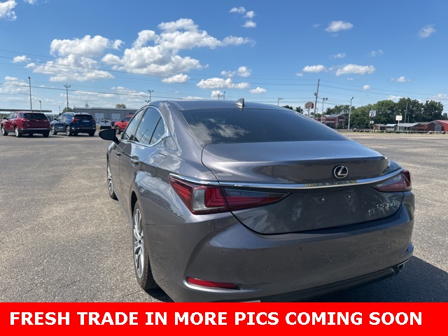 2019 Lexus ES 350 Ultra Luxury photo 14