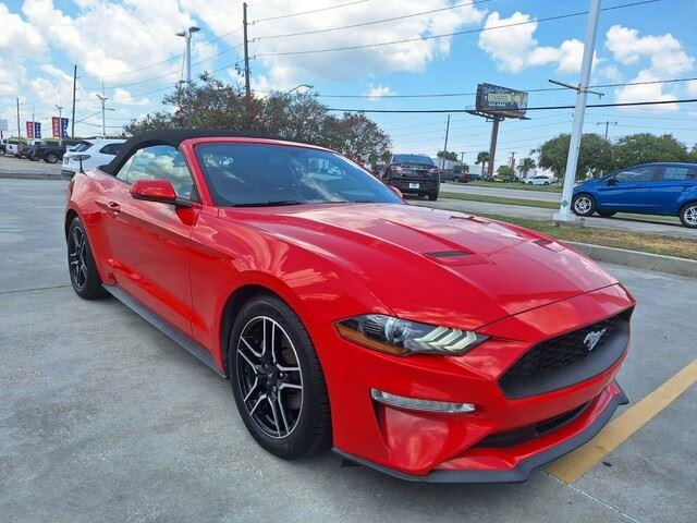 2019 Ford Mustang EcoBoost Premium photo 7