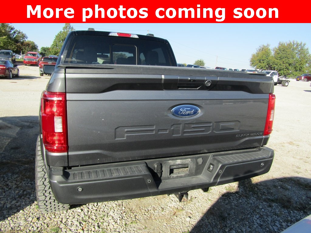 2023 Ford F-150 XL photo 4