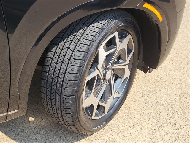 2022 Hyundai Palisade Calligraphy photo 4