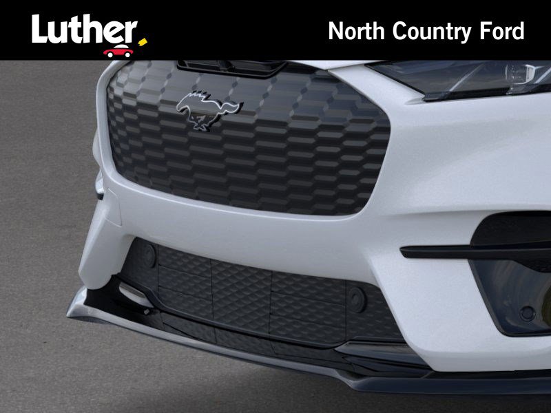 2025 Ford Mustang Mach-E GT photo 14
