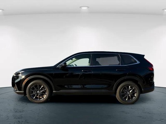 2026 Honda CR-V EX-L photo 3