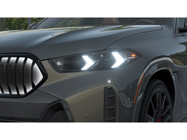 2026 Bmw X6 xDrive40i photo 5