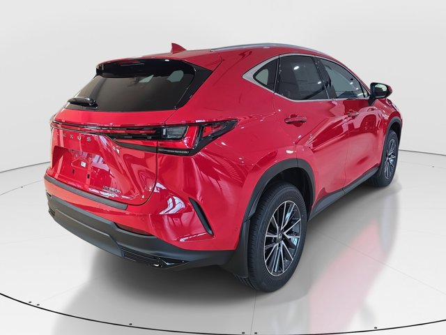 2025 Lexus NX 350h Luxury AWD photo 13
