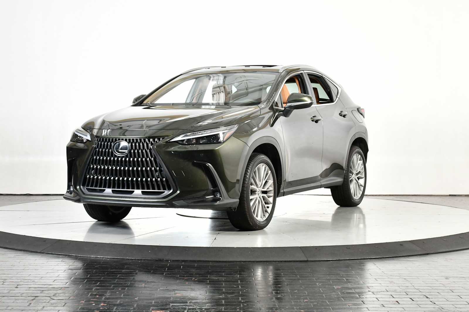2025 Lexus NX Base's photo