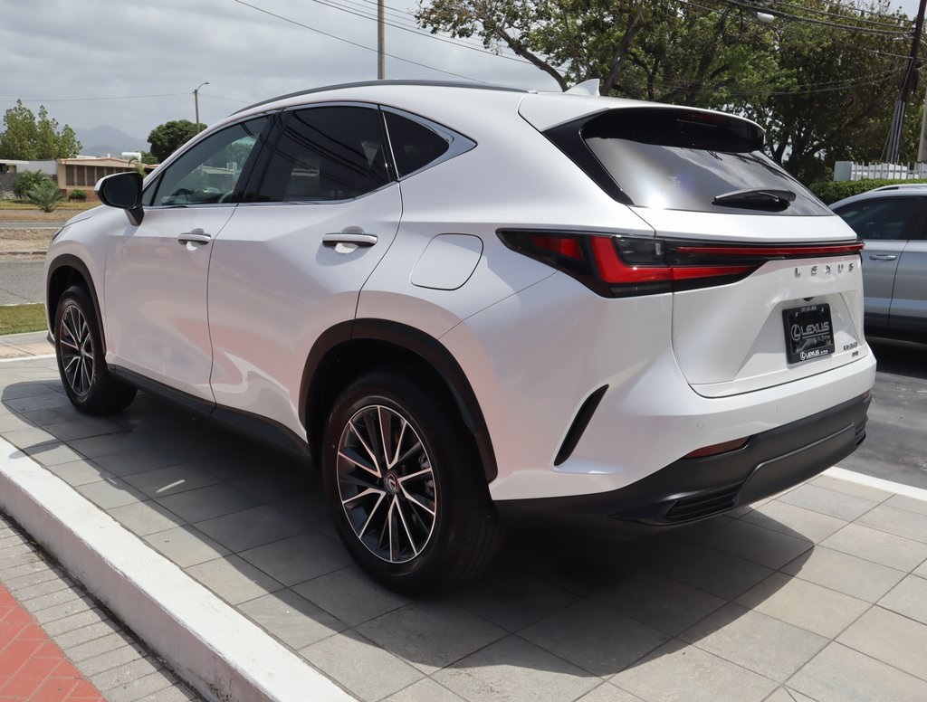 2025 Lexus NX 350 photo 7