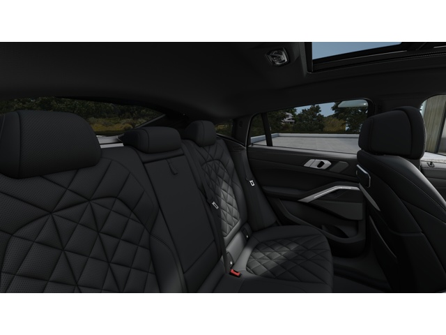 2026 Bmw X6 xDrive40i photo 10