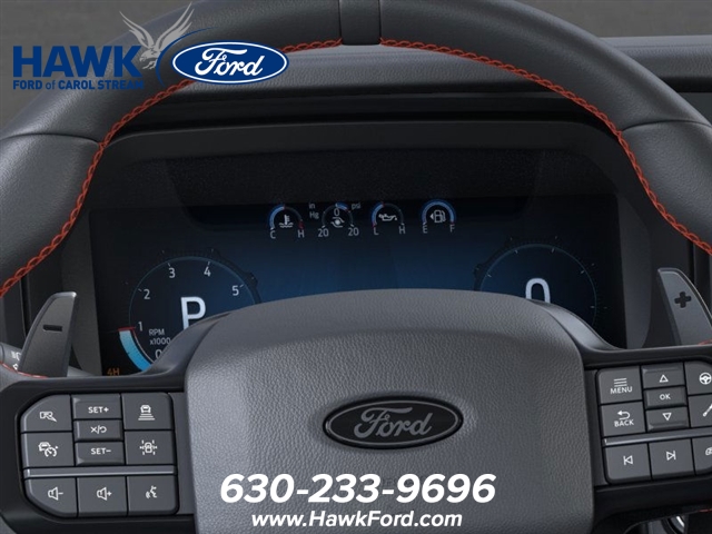 2025 FORD F-150 - Image 13