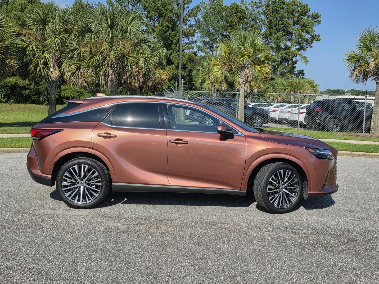 2023 Lexus RX 350 Premium photo 35