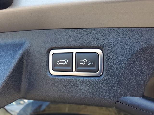 2025 Kia Sorento Hybrid EX photo 30