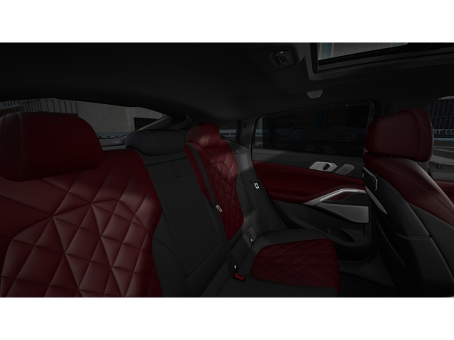 2026 Bmw X6 M photo 11