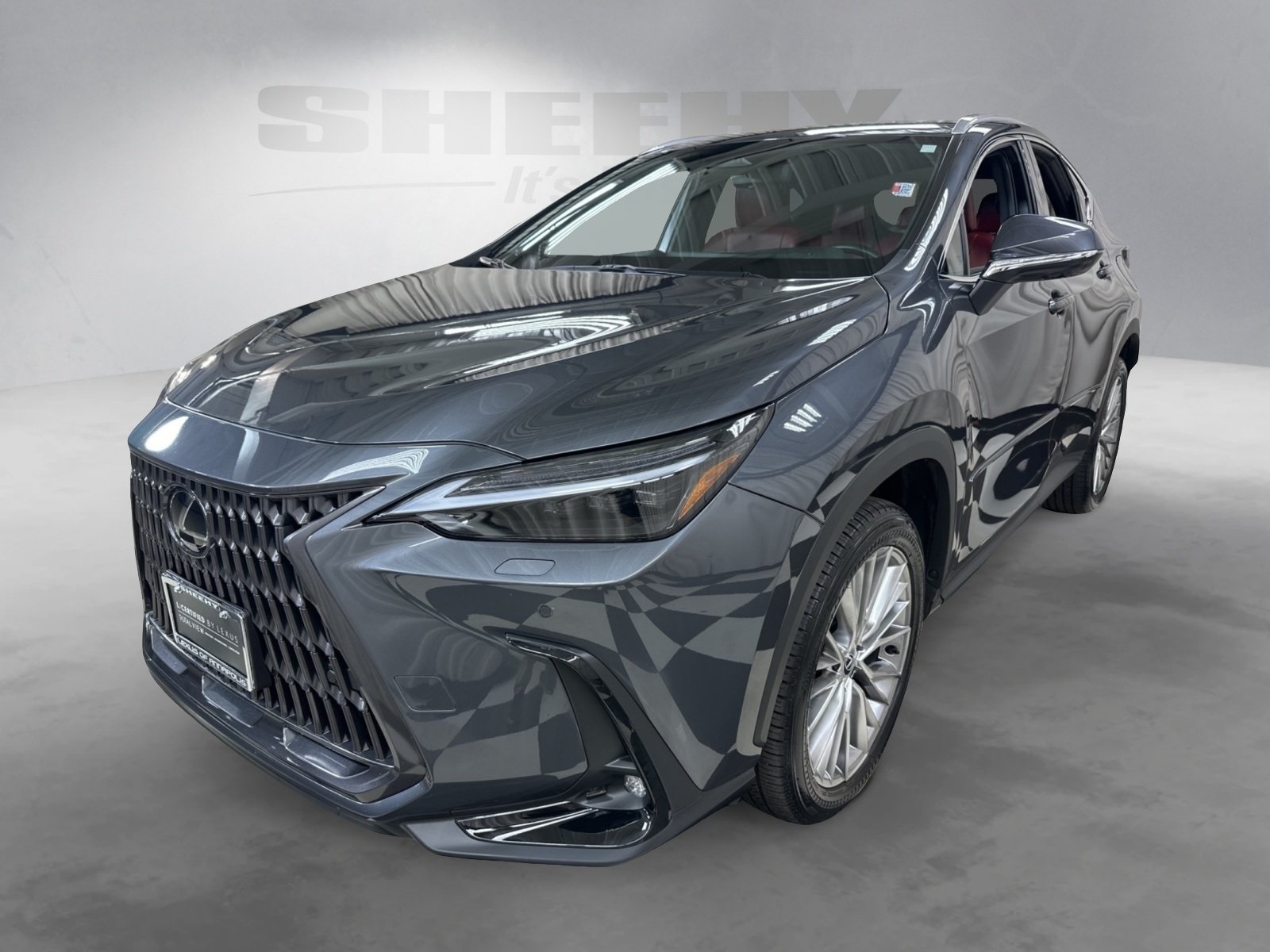 2024 Lexus NX 350 Luxury photo 2