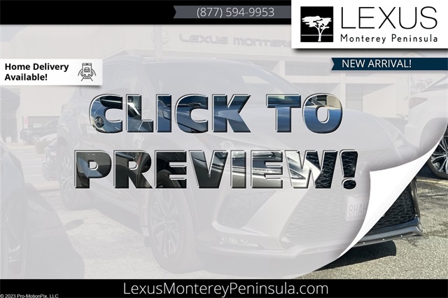 2019 Lexus NX 300 F SPORT's photo