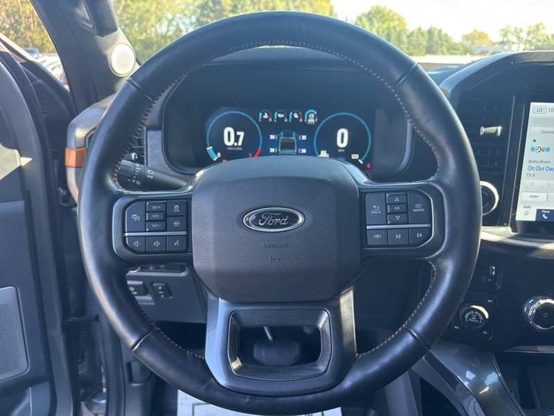 2022 Ford F-150 Tremor photo 10