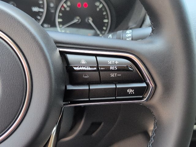 2025 Mazda CX-90 3.3 Turbo Preferred photo 19