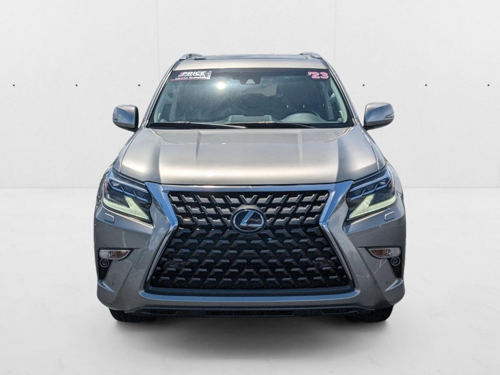 REW 23-24 THE INSANE JKT GREEN＊GRAY REW 23-24 THE INSANE