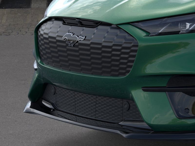 2025 FORD MUSTANG MACH-E - Image 16