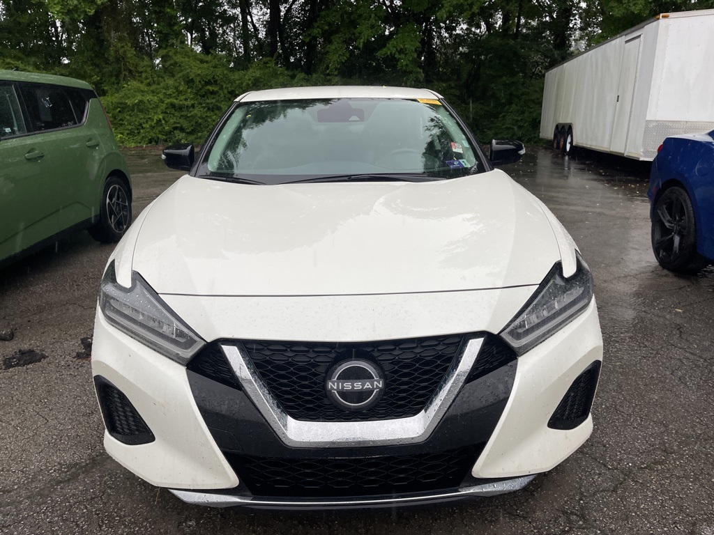 2023 Nissan Maxima SV photo 3