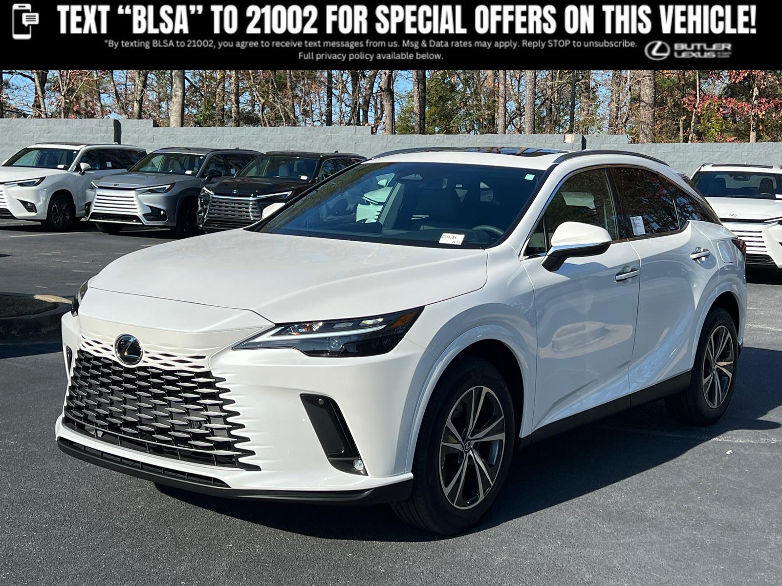 2026 Lexus RX Hybrid 350h's photo