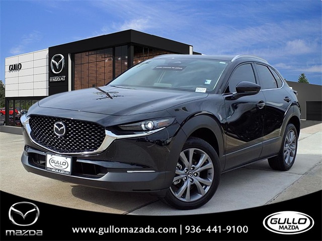 2025 Mazda CX-30 Premium's photo