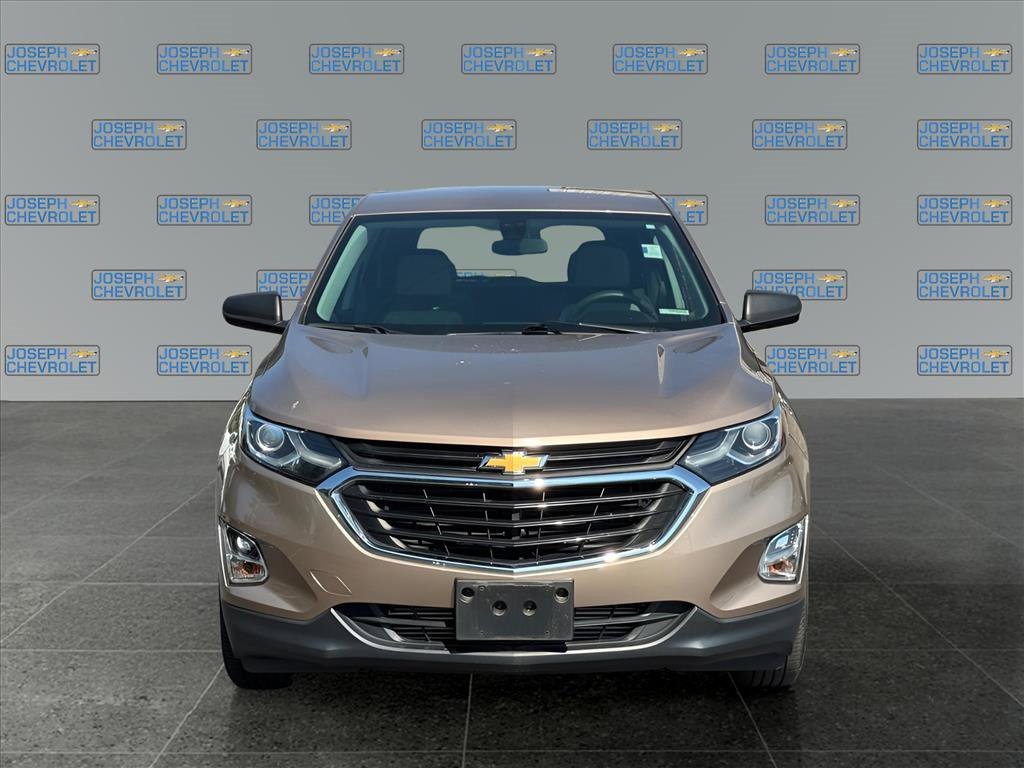 2019 Chevrolet Equinox LS photo 2
