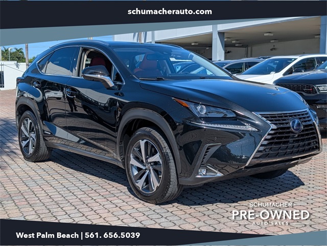 2021 Lexus NX Hybrid 300h's photo