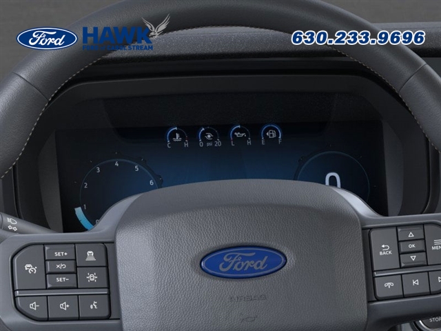 2025 FORD F-150 - Image 13