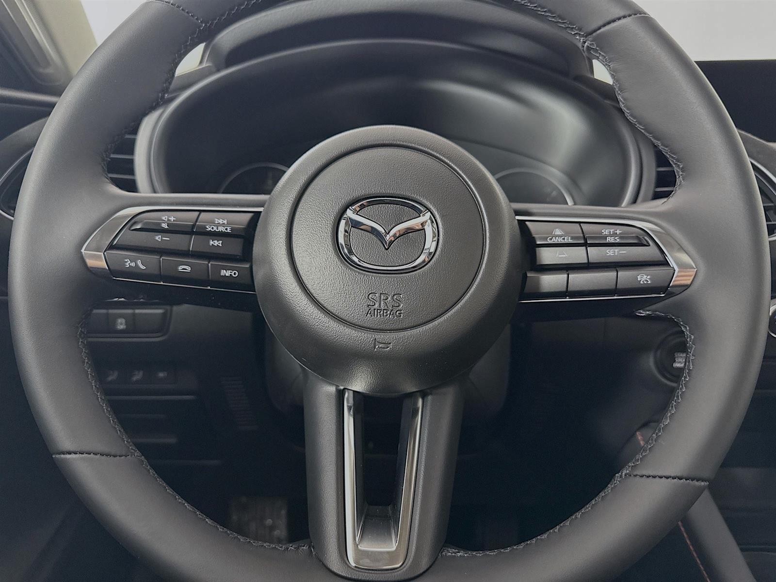 2025 Mazda Mazda3 2.5 Turbo Carbon photo 16