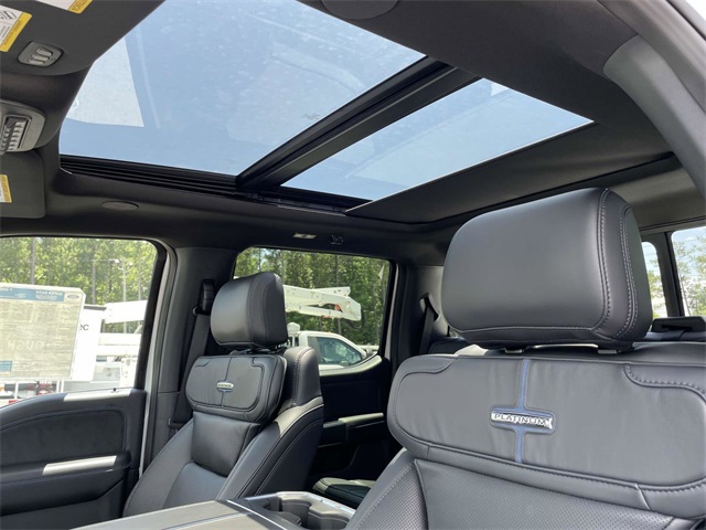 2025 Ford F-250 Platinum photo 11