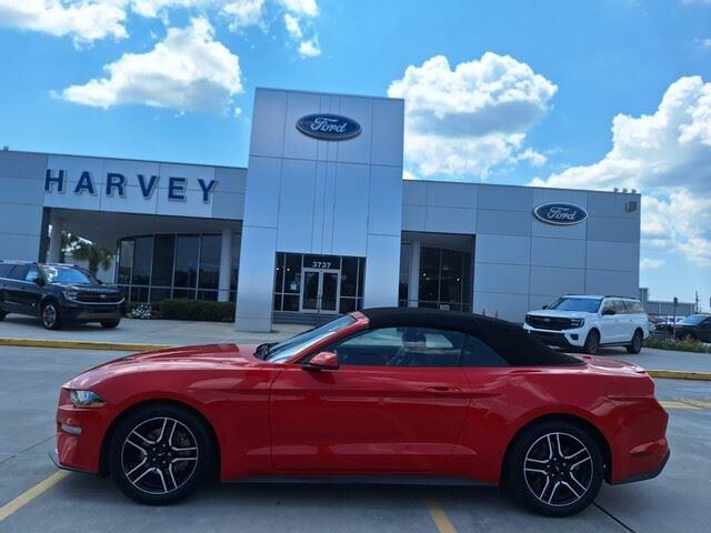 2019 Ford Mustang EcoBoost Premium photo 2