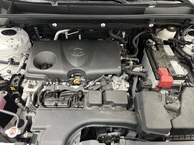 2023 Toyota RAV4 LE photo 17