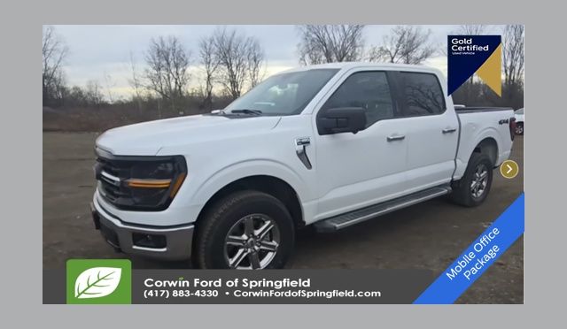 2024 Ford F-150 XLT's photo