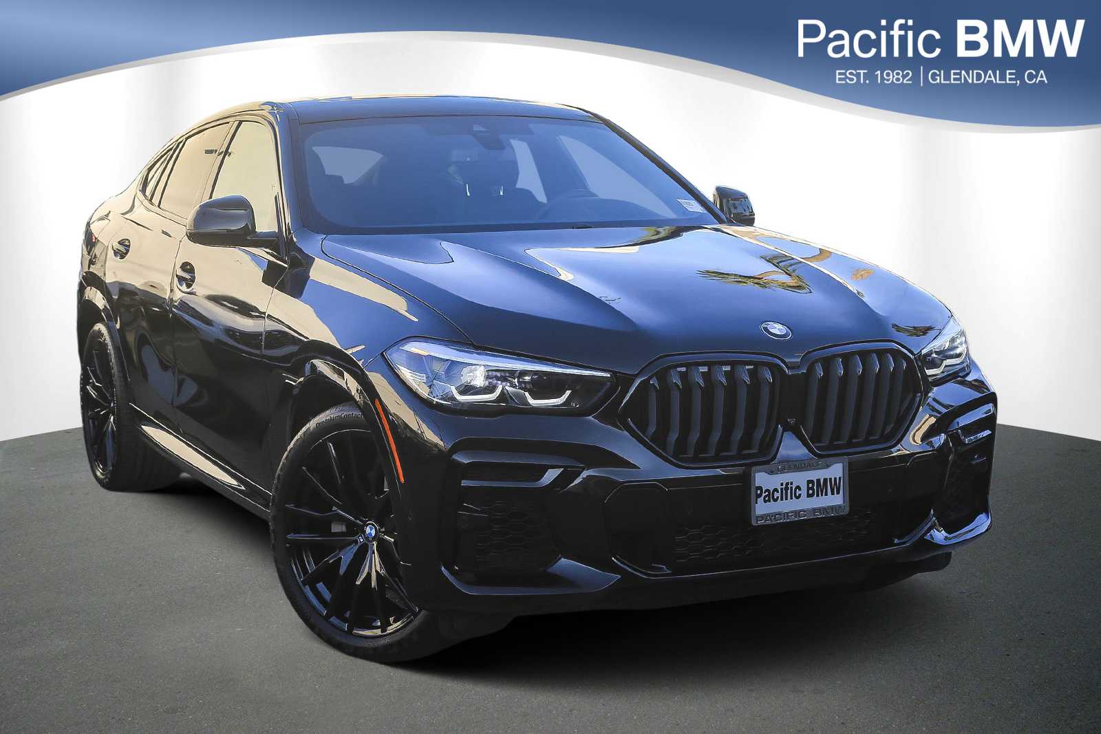 2023 BMW X6 40i's photo
