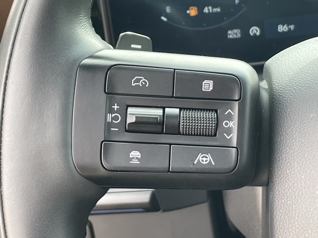 2025 Hyundai Santa Fe Calligraphy photo 21