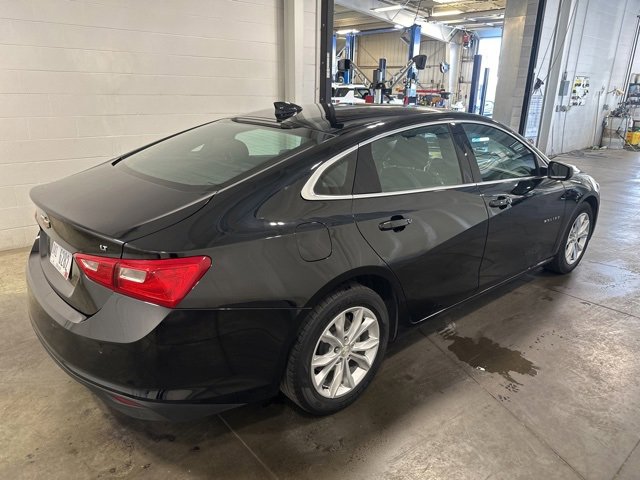 2023 Chevrolet Malibu 1LT photo 4