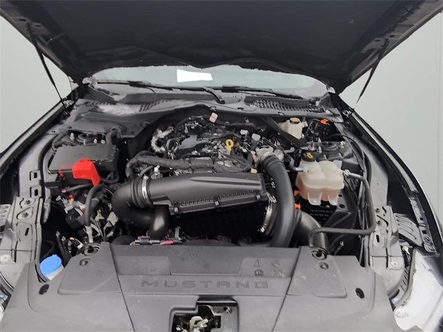 2024 Ford Mustang EcoBoost Premium photo 10