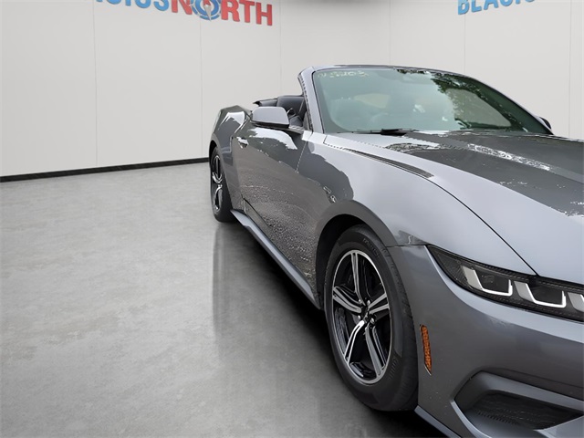 2024 Ford Mustang EcoBoost Premium photo 4