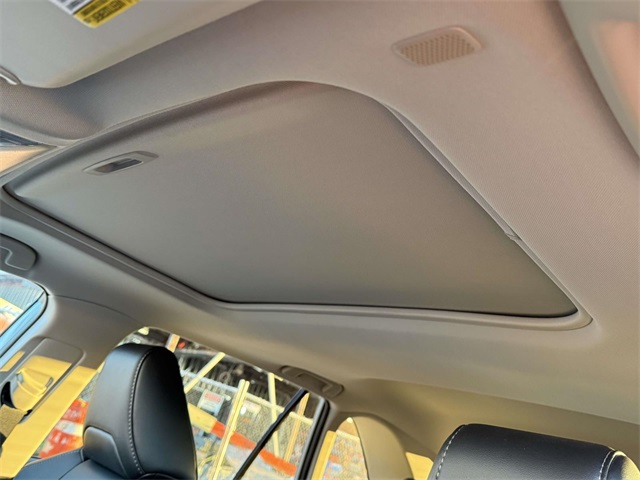 2023 Toyota RAV4 Hybrid XLE Premium photo 4