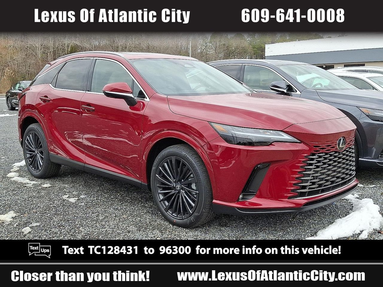 2026 Lexus RX 350's photo