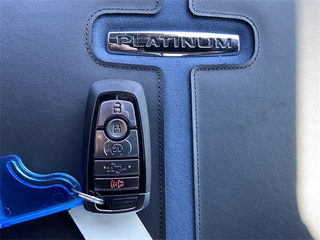 2025 Ford F-150 Platinum photo 20