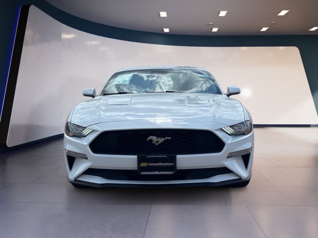 2023 Ford Mustang EcoBoost photo 8
