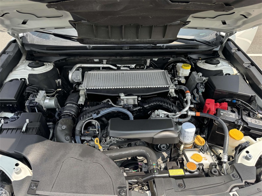 2022 Subaru Outback Wilderness photo 12