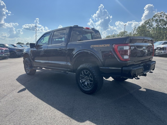 2023 Ford F-150 Tremor photo 4