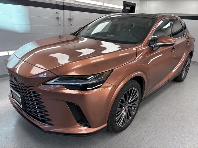 2023 Lexus RX Hybrid 350h's photo