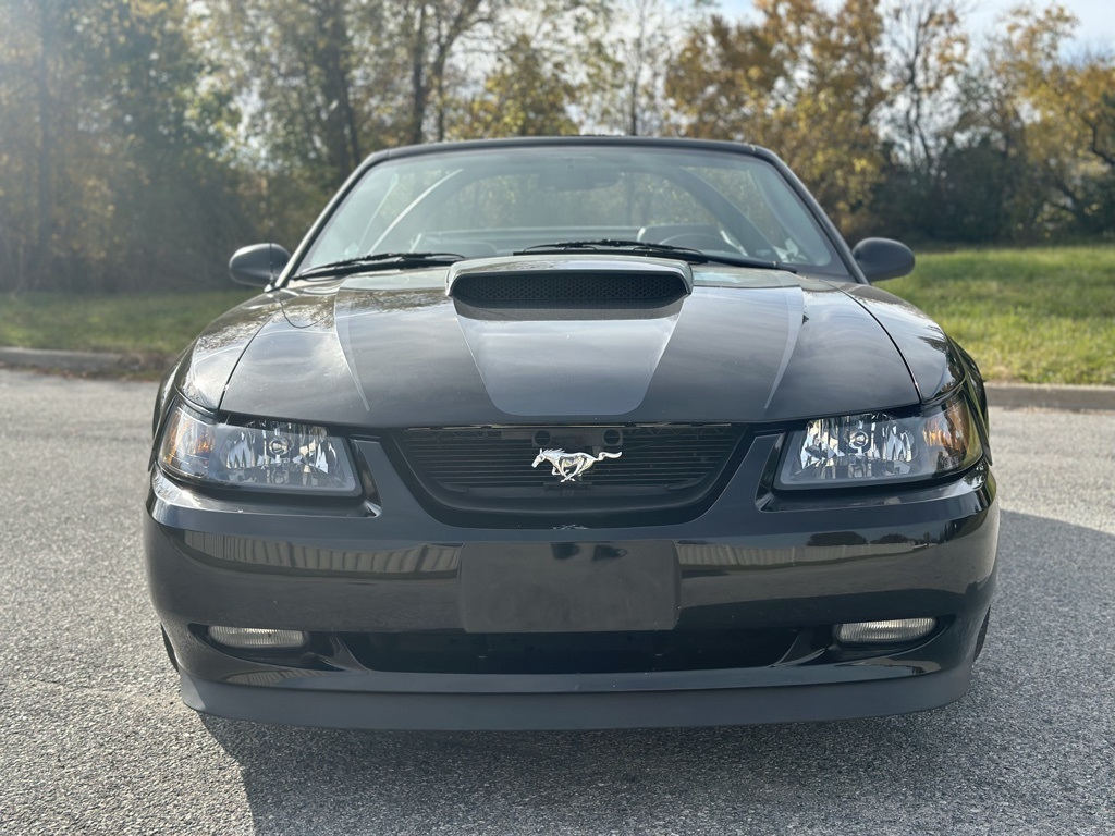 Used 2003 Ford Mustang GT 170A with VIN 1FAFP45X03F342512 for sale in Schererville, IN