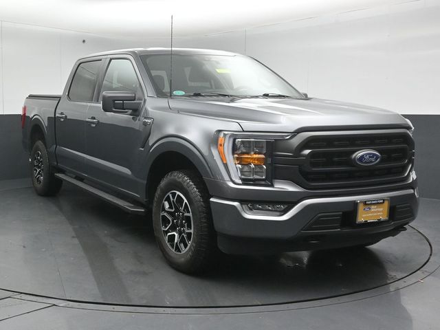 2023 FORD F-150 - Image 1