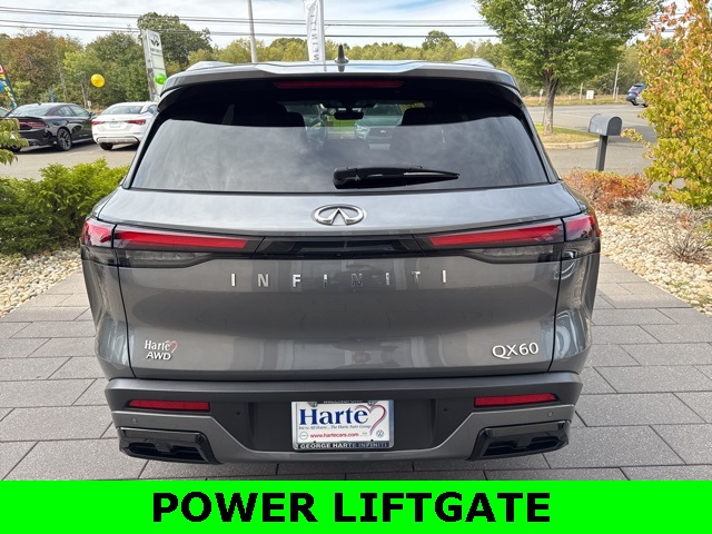 2023 Infiniti QX60 Luxe photo 6