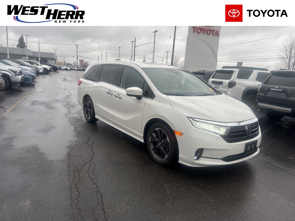 2023 Honda Odyssey Elite's photo