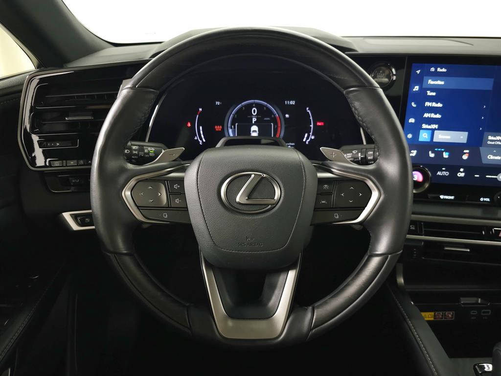 2024 Lexus RX 350 photo 15